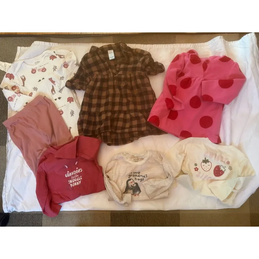Carter's Infant Girls size 18 months bundle EUC